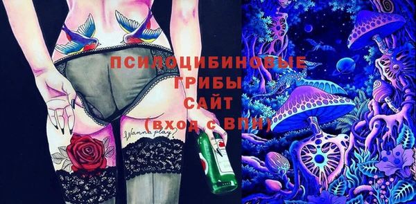 стаф Абаза